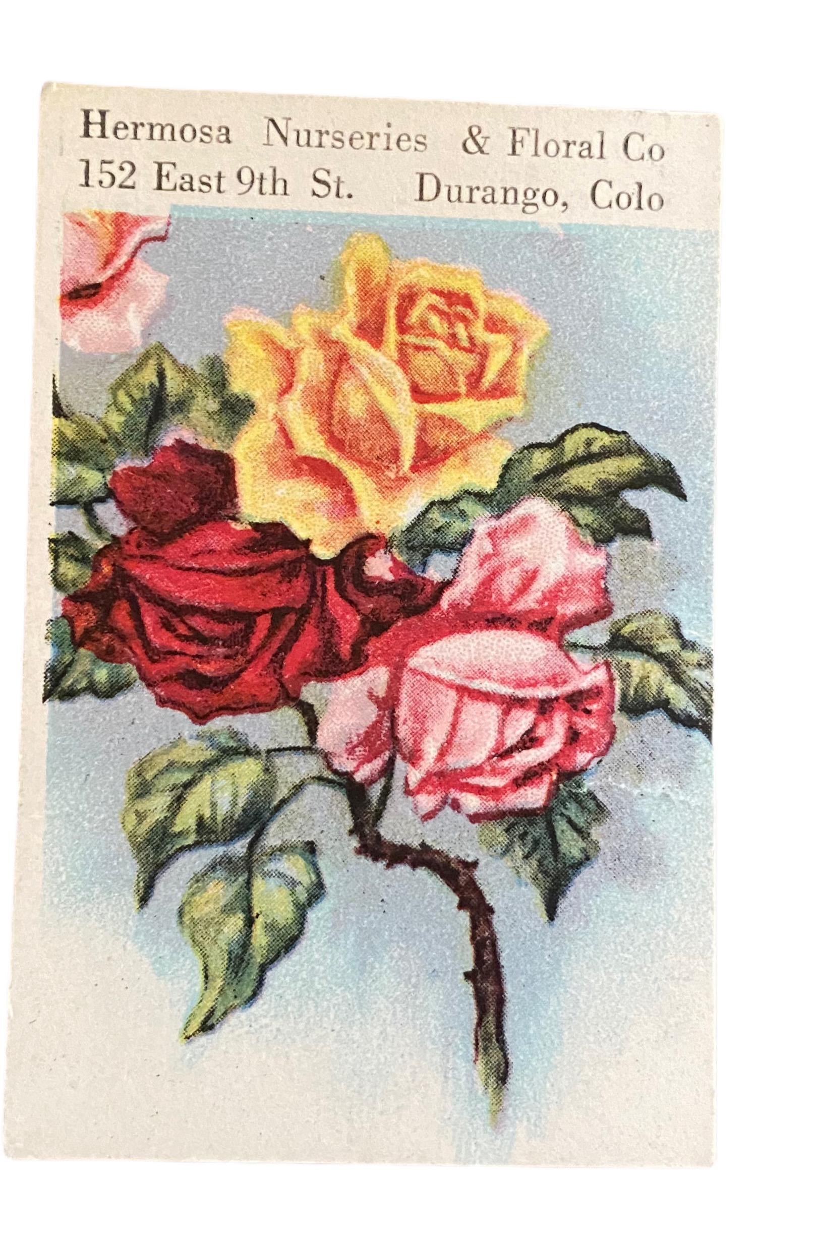 Hermosa Flowers ad