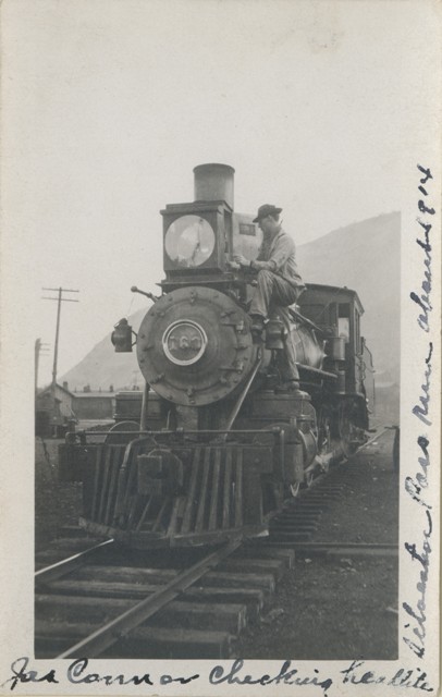 Engineer on locomotive