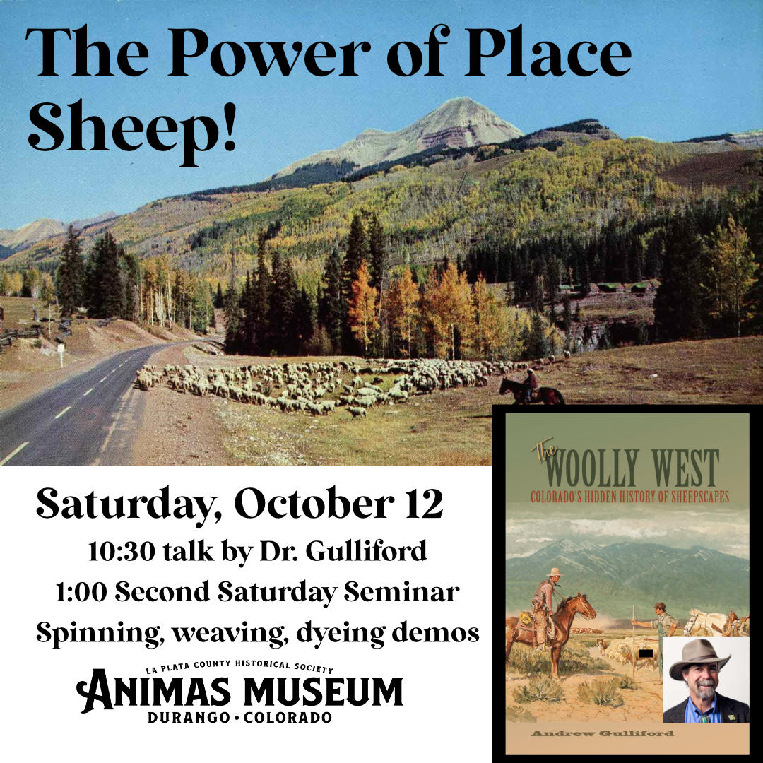 picture of sheep on Hwy 550